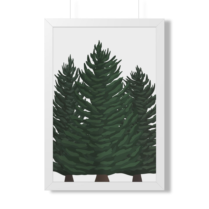 Douglas Fir Framed Print – Wall Art