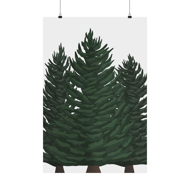 Douglas Fir Print – Unframed Wall Art
