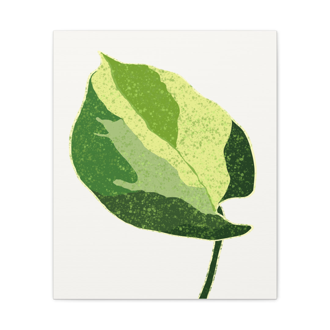 Manjula Pothos Botanical Canvas Print Matte Finish Stretched Canvas Wall Art 1.25 Inch Depth