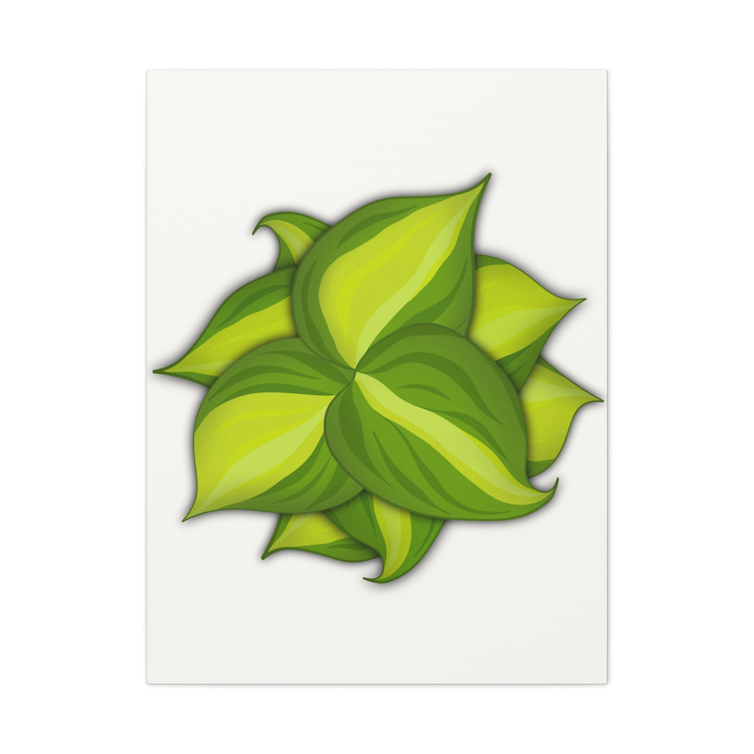 Philodendron Brasil Canvas Print Matte Stretched Canvas Indoor Plant Art For Modern Greenery Decor