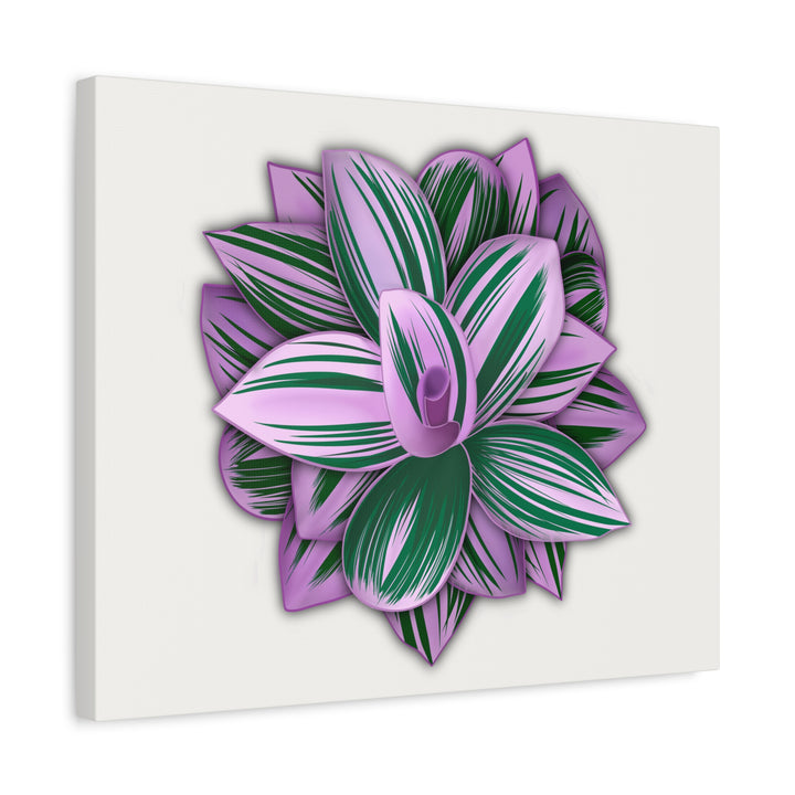 Tradescantia Nanouk Canvas Botanical Wall Art Print Pink Green Foliage On Stretched Cotton Canvas
