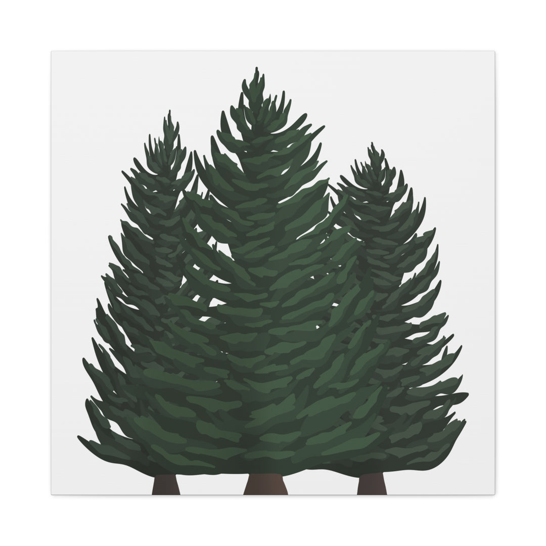 Douglas Fir Canvas Print – Wall Art