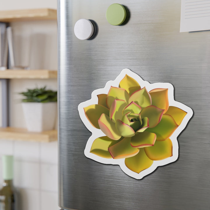 Noble Aeonium Succulent Magnet