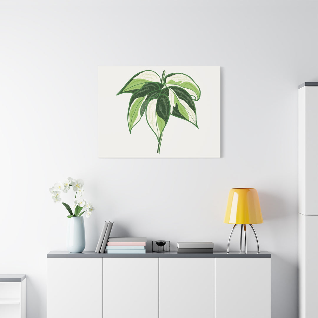 Philodendron Canvas Print Cream Splash Variegated Plant Art On Matte Cotton Canvas For Home Wall Decor