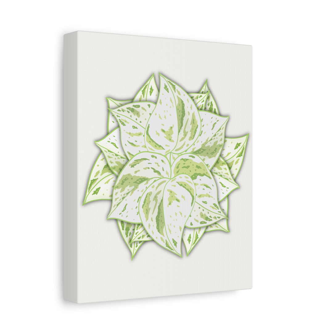 Snow Queen Pothos Canvas Wall Art Variegated Indoor Plant Leaf Poster Print Cotton Canvas