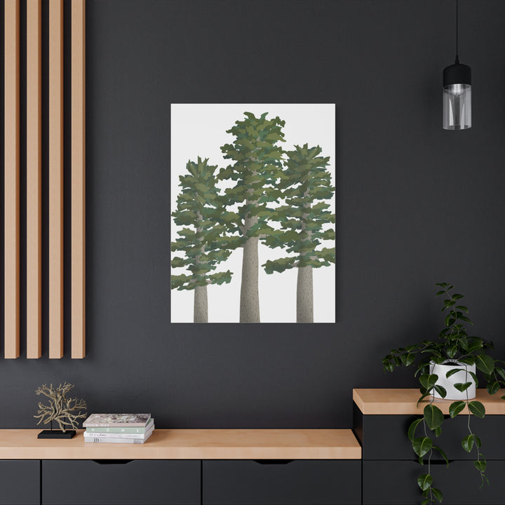 Sitka Spruce Canvas Print – Wall Art