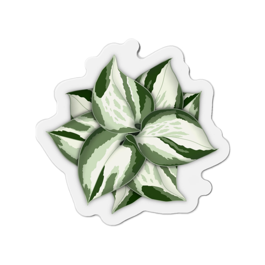 Manjula Pothos Magnet