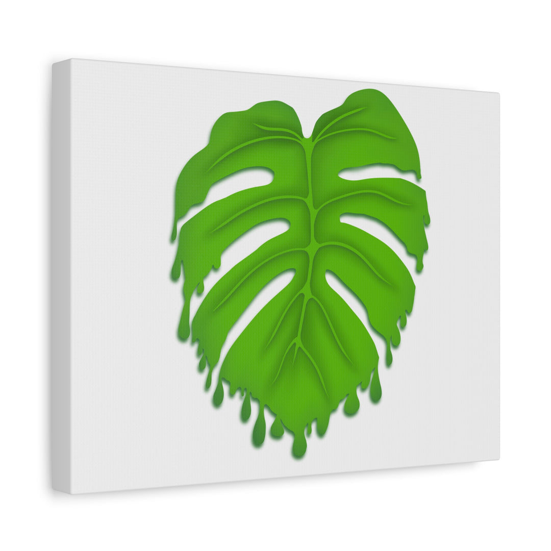 Melting Monstera Canvas Wall Art Large Botanical Print On Premium Cotton With Matte Finish For Indoor Decor