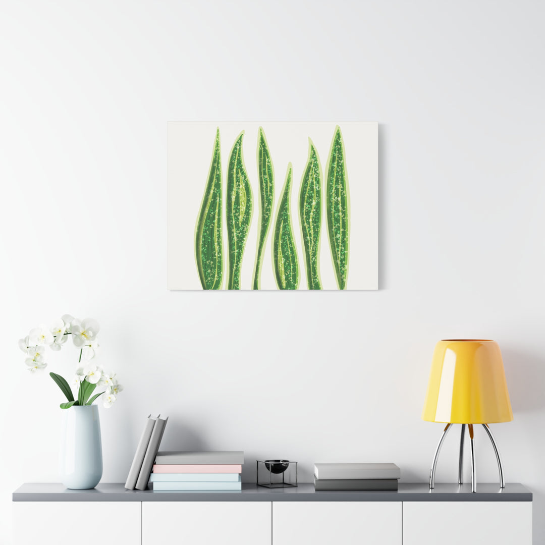 Snake Plant Canvas Print Matte 1.25 Inch Stretch Canvas Wall Art For Living Room Decor