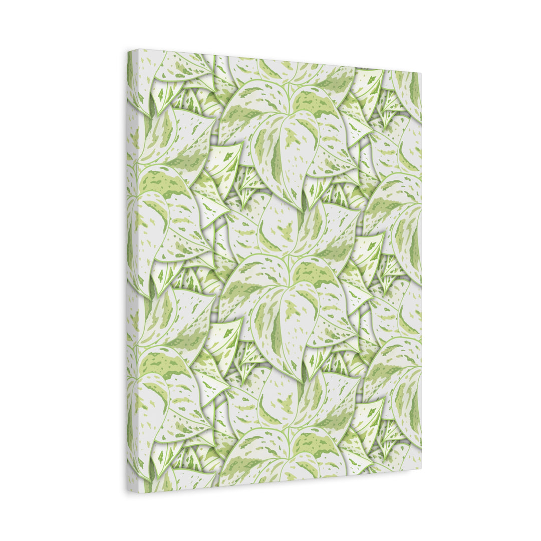Snow Queen Pothos Canvas Print With Variegated White Leaves In Matte Finish For Modern Home Decor