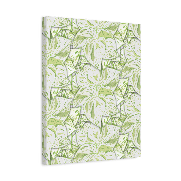Snow Queen Pothos Canvas Print With Variegated White Leaves In Matte Finish For Modern Home Decor