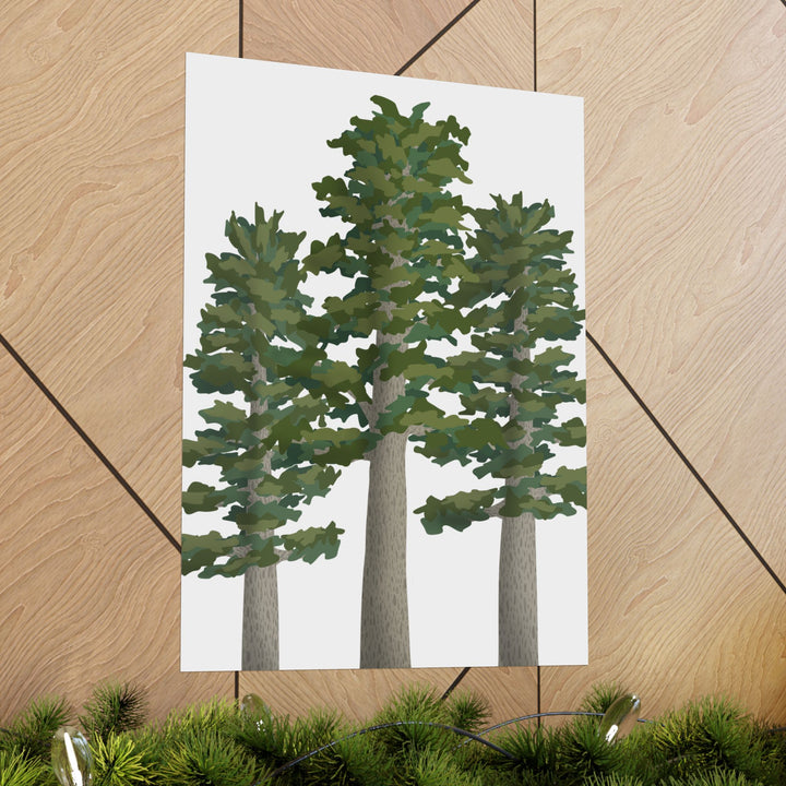 Sitka Spruce Print – Unframed Wall Art
