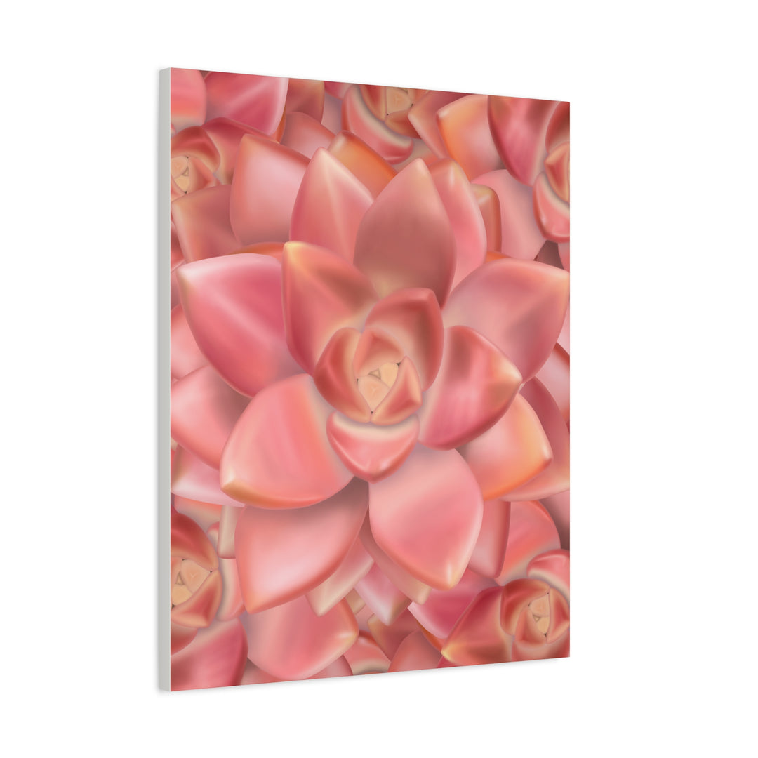 Graptosedum California Sunset Succulent Canvas Print – Botanical Wall Art - The Potted Pixel