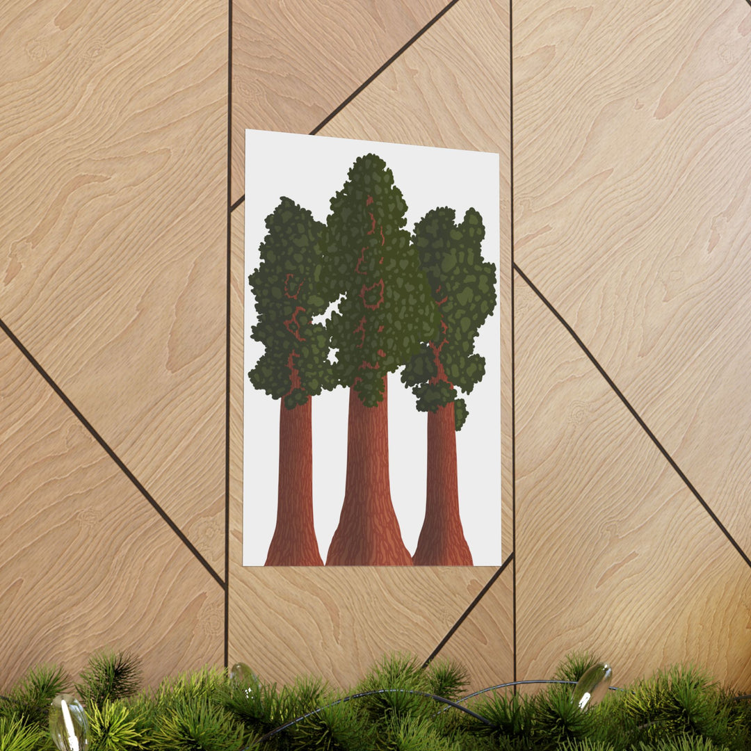 Giant Sequoias Print – Unframed Wall Art