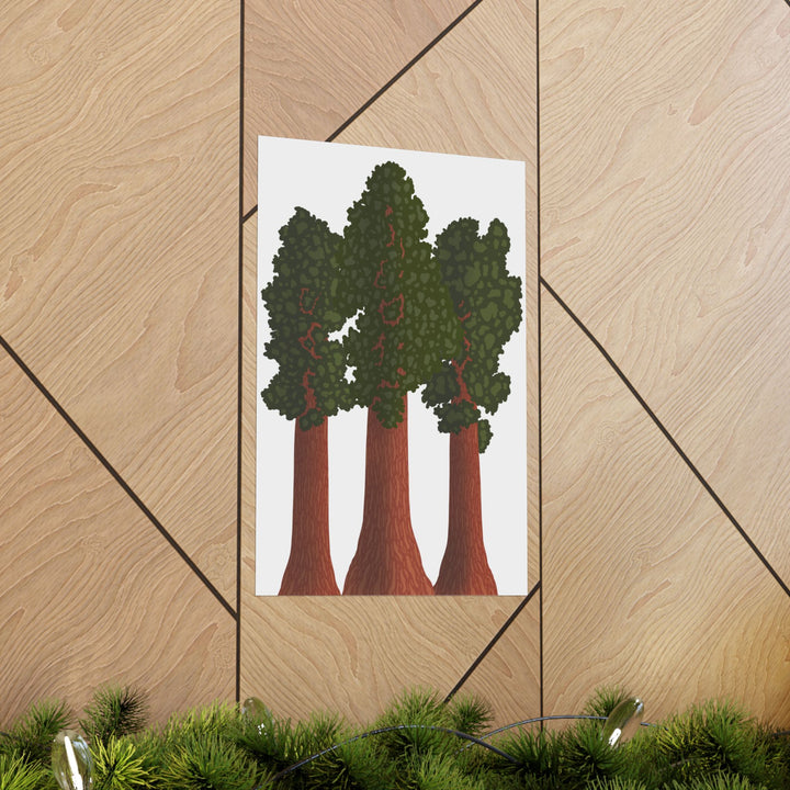 Giant Sequoias Print – Unframed Wall Art