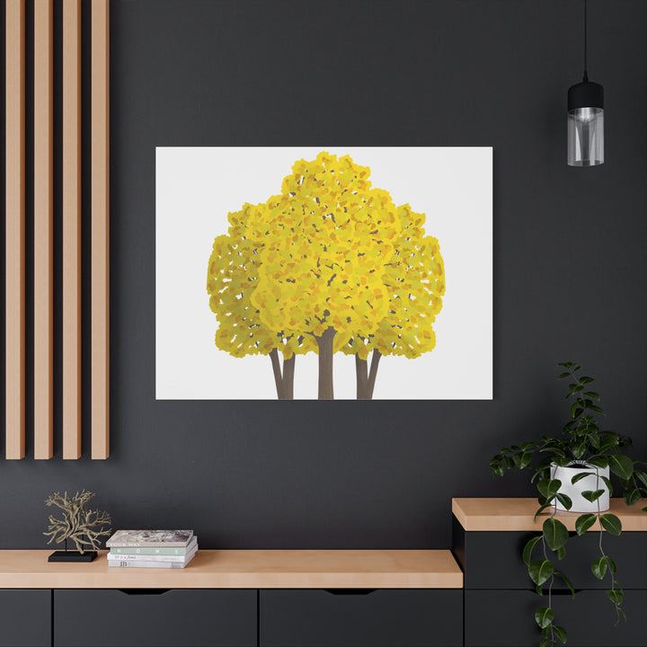Big Leaf Maple Canvas Print – Wall Art