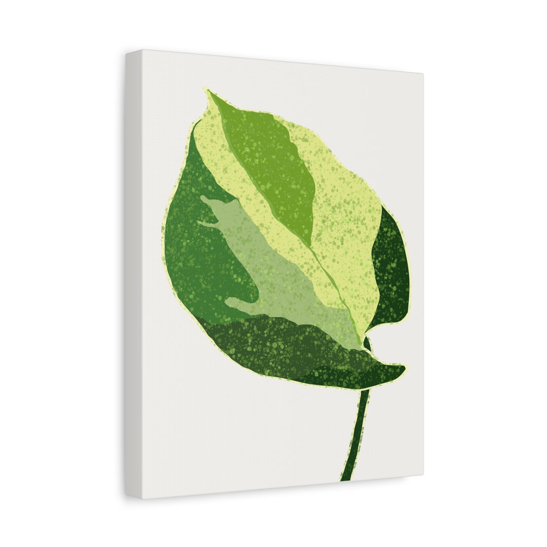 Manjula Pothos Botanical Canvas Print Matte Finish Stretched Canvas Wall Art 1.25 Inch Depth