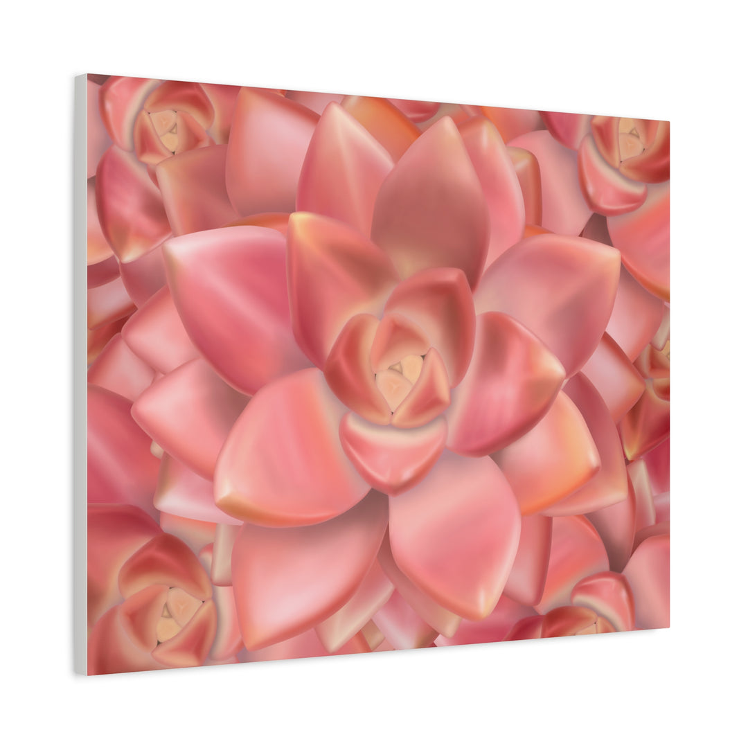 Graptosedum California Sunset Succulent Canvas Print – Botanical Wall Art - The Potted Pixel