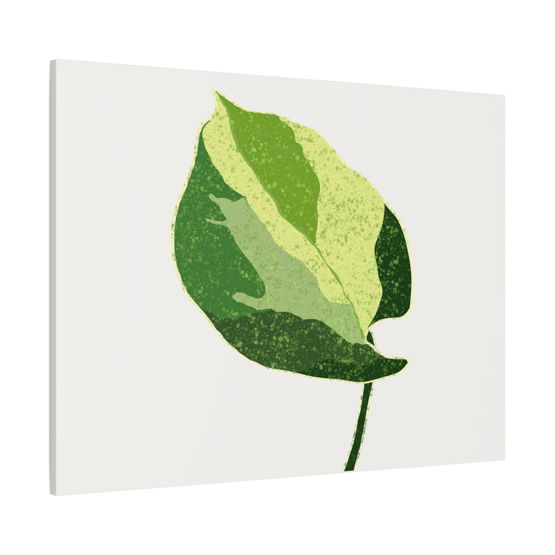 Manjula Pothos Botanical Canvas Print Matte Finish Stretched Canvas Wall Art 1.25 Inch Depth