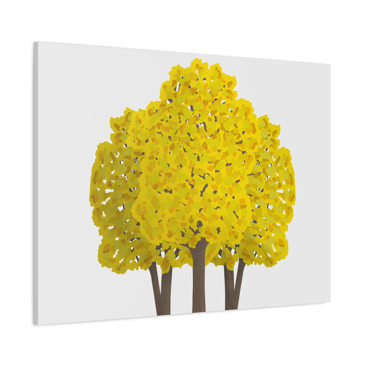 Big Leaf Maple Canvas Print – Wall Art