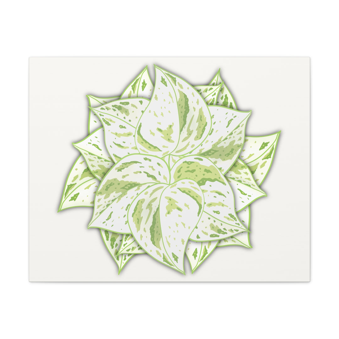 Snow Queen Pothos Canvas Wall Art Variegated Indoor Plant Leaf Poster Print Cotton Canvas