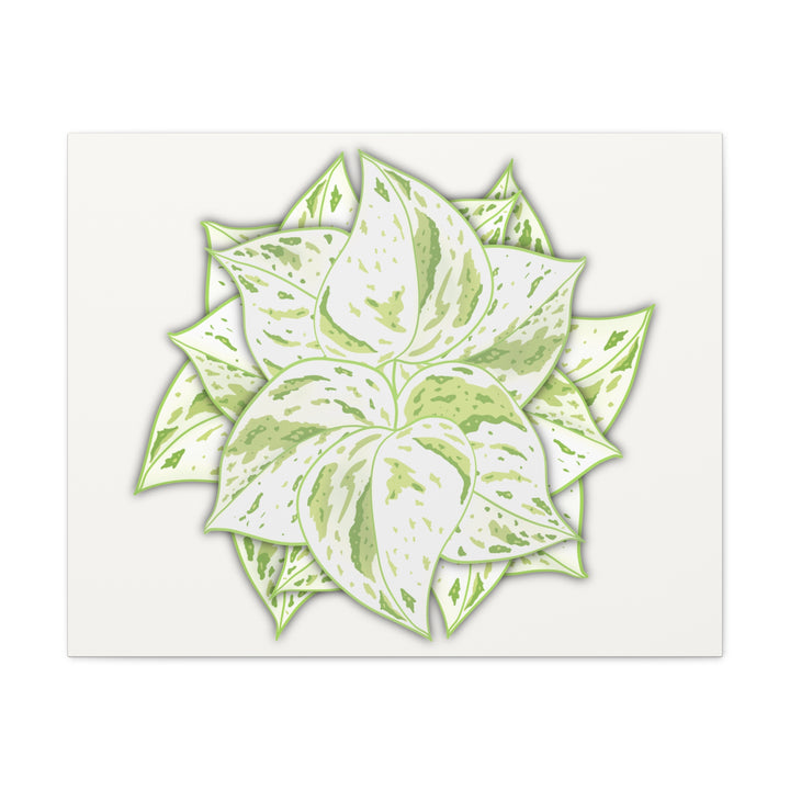 Snow Queen Pothos Canvas Wall Art Variegated Indoor Plant Leaf Poster Print Cotton Canvas