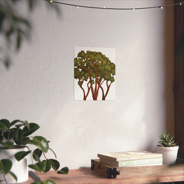 Pacific Madrone Print – Unframed Wall Art