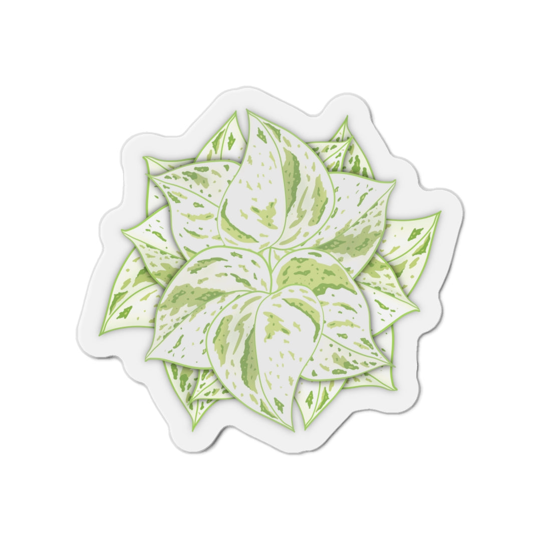 Snow Queen Pothos Magnet