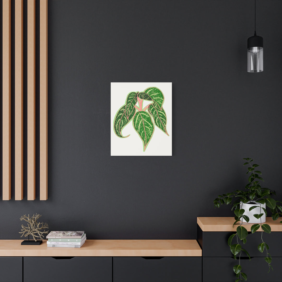 Aglaonema Sparkling Sarah Botanical Canvas Print On Matte Stretch Canvas For Modern Living Room Decor
