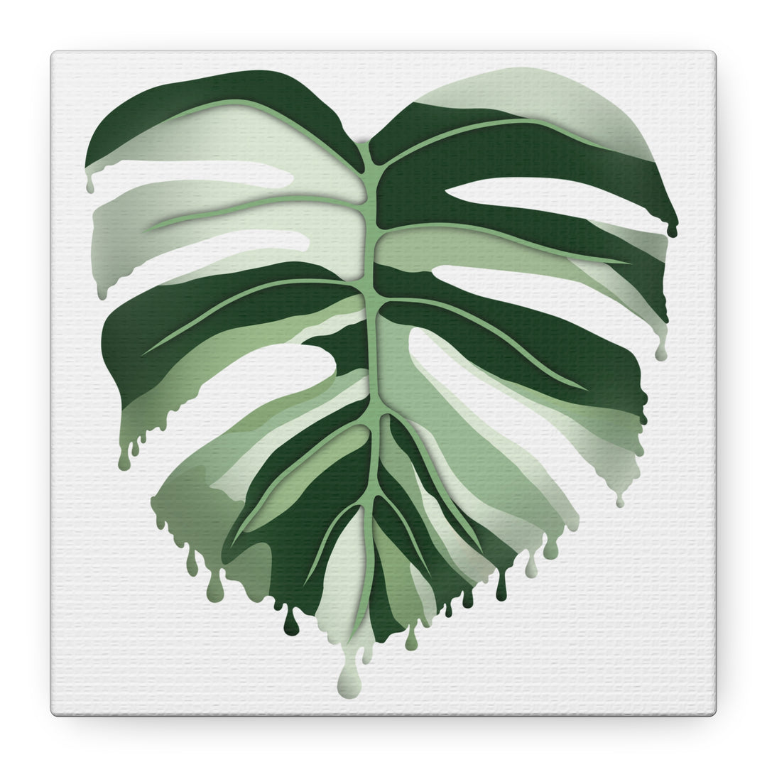 Melting Monstera Albo Canvas Large Indoor Wall Art Print Matte Finish Tropical Home Decor