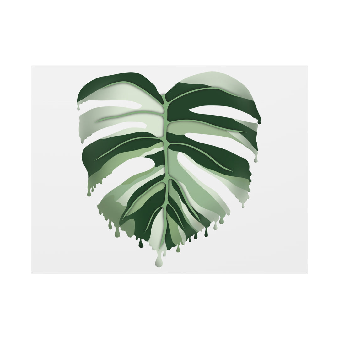 Melting Monstera Albo Canvas Large Indoor Wall Art Print Matte Finish Tropical Home Decor