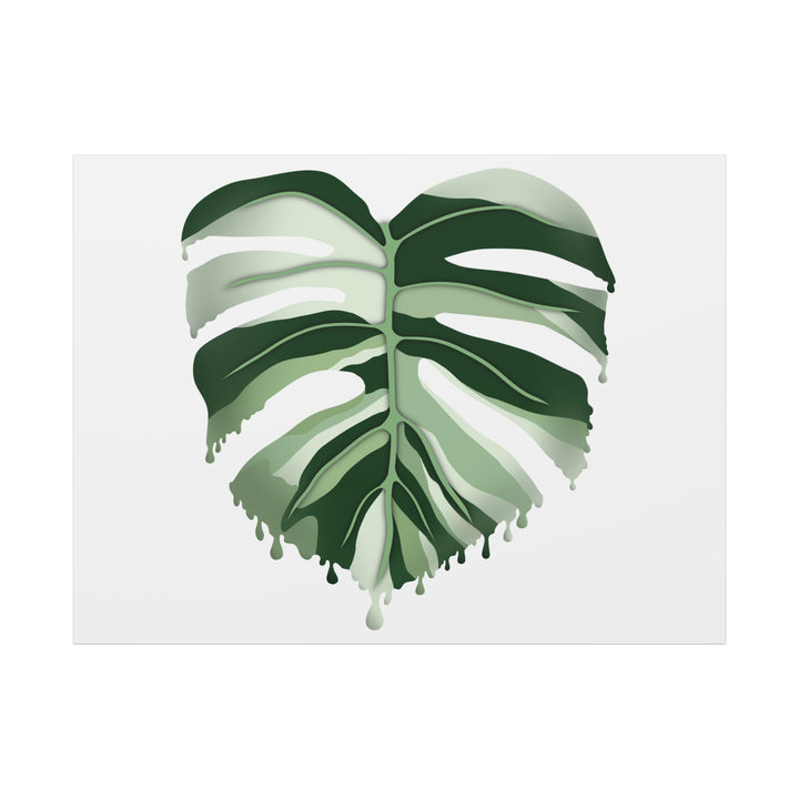 Melting Monstera Albo Canvas Large Indoor Wall Art Print Matte Finish Tropical Home Decor