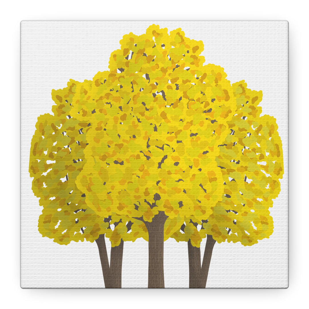 Big Leaf Maple Canvas Print – Wall Art