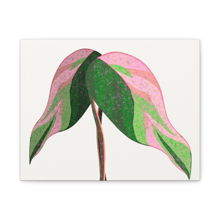 Pink Princess Philodendron Canvas Print Botanical Wall Art For Indoor Decor Modern Living Room Poster