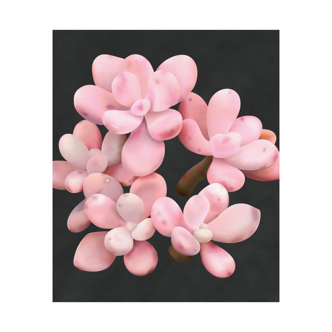 Pink Moonstone Botanical Print – Unframed Wall Art