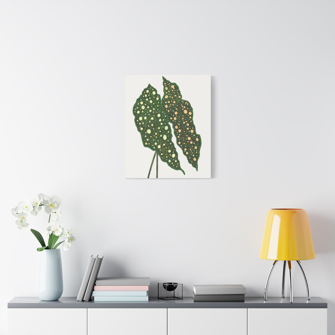 Begonia Maculata Canvas Premium Botanical Wall Art Print On Cotton Canvas With Matte Finish For Indoor Decor
