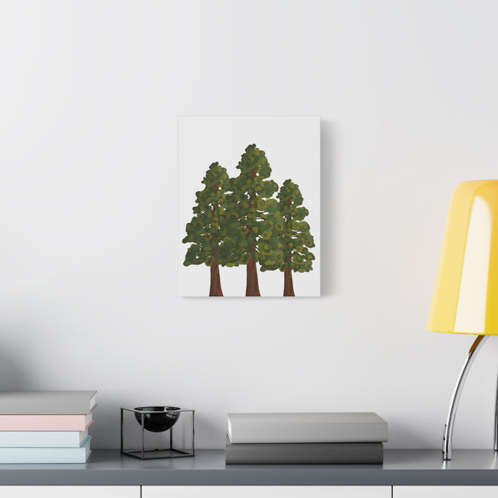 Coastal Redwoods Matte Canvas Print On 1.25 Inch Stretched Canvas For Serene Forest Wall Art In Living Rooms