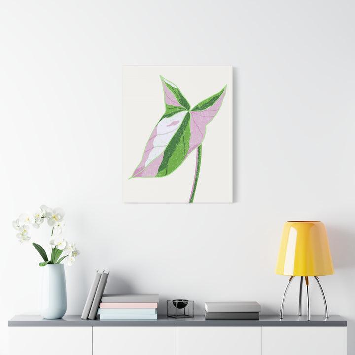 Syngonium Tricolor Canvas Print – Botanical Wall Art - The Potted Pixel