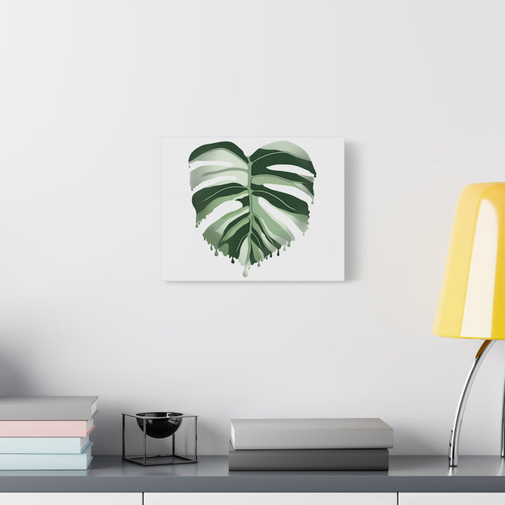 Melting Monstera Albo Canvas Large Indoor Wall Art Print Matte Finish Tropical Home Decor