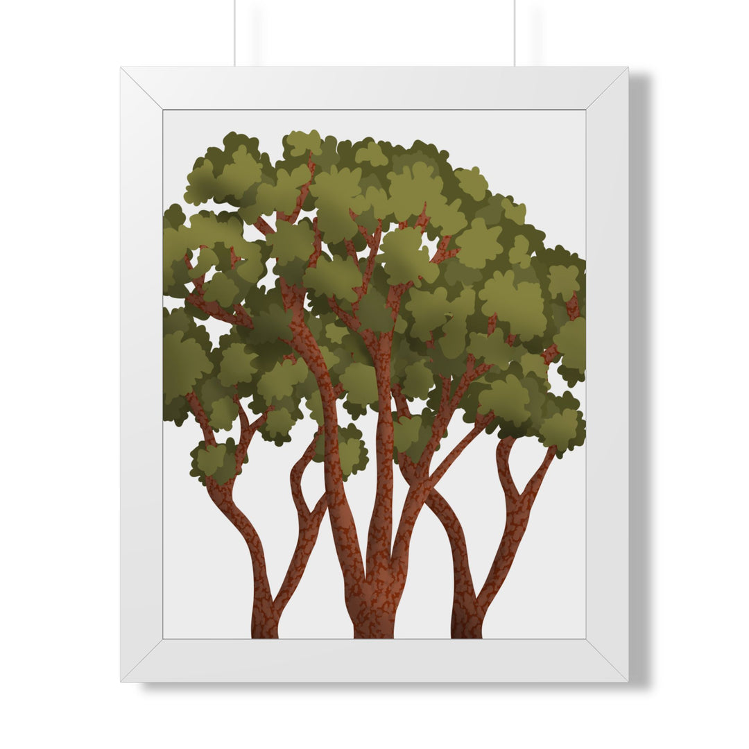 Pacific Madrone Framed Print – Wall Art