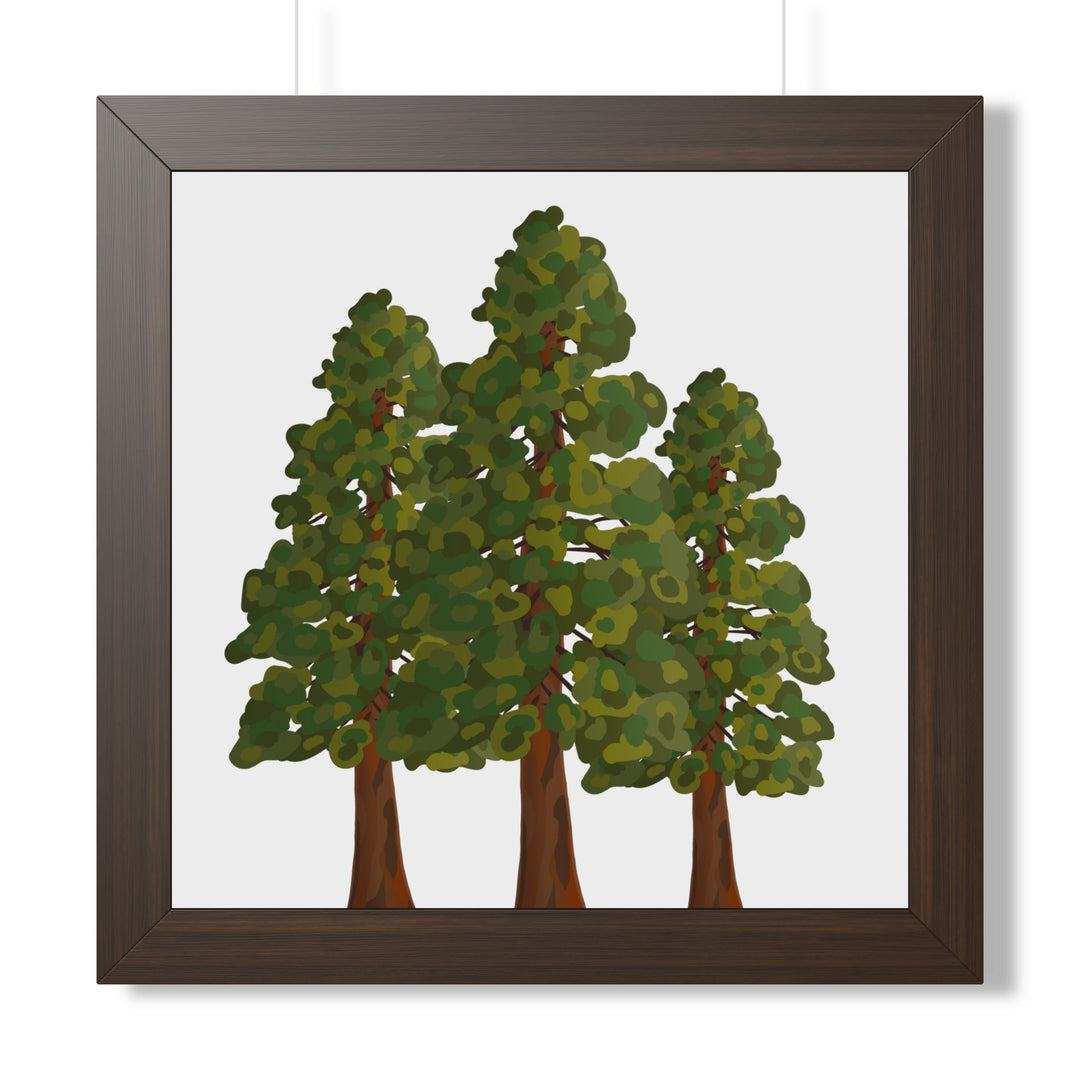 Coastal Redwood Framed Print – Wall Art