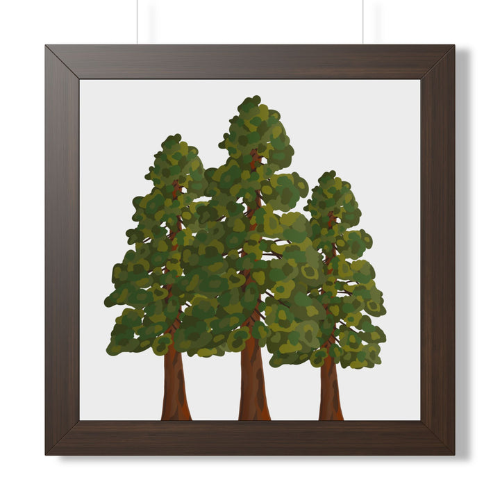 Coastal Redwood Framed Print – Wall Art
