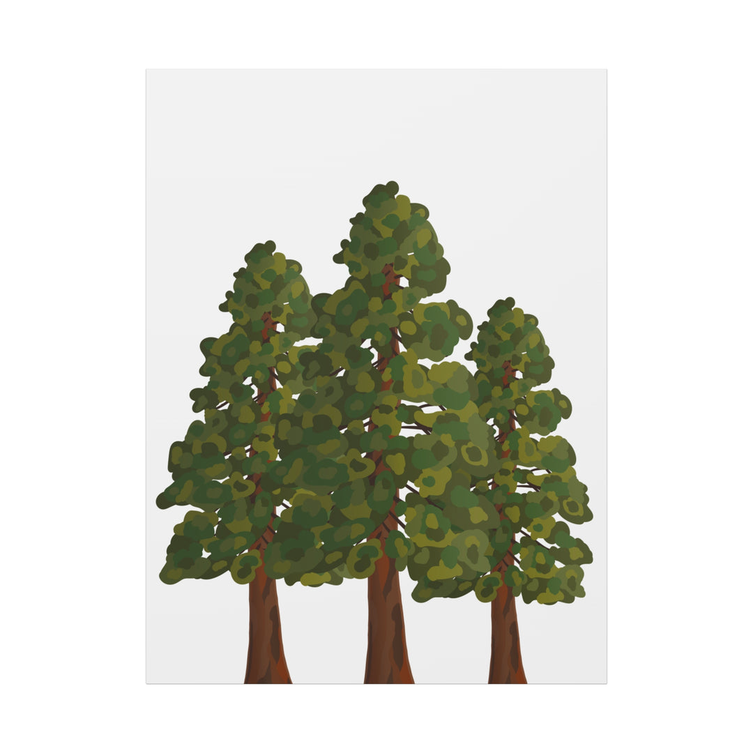 Coastal Redwoods Matte Canvas Print On 1.25 Inch Stretched Canvas For Serene Forest Wall Art In Living Rooms