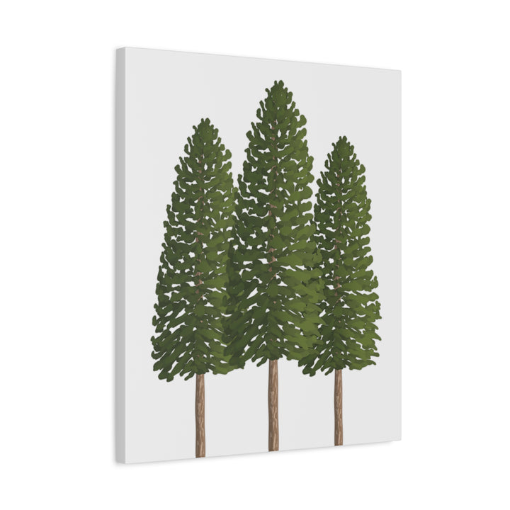 Three Ponderosa Pine Canvas Wall Art Matte Stretched Print Minimalist Forest Landscape Decor