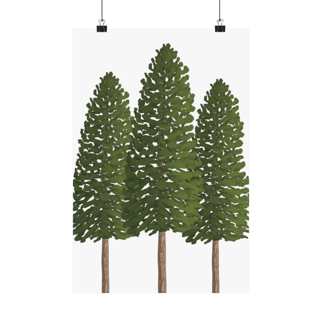 Ponderosa Pine Botanical Print – Unframed Wall Art by Printify