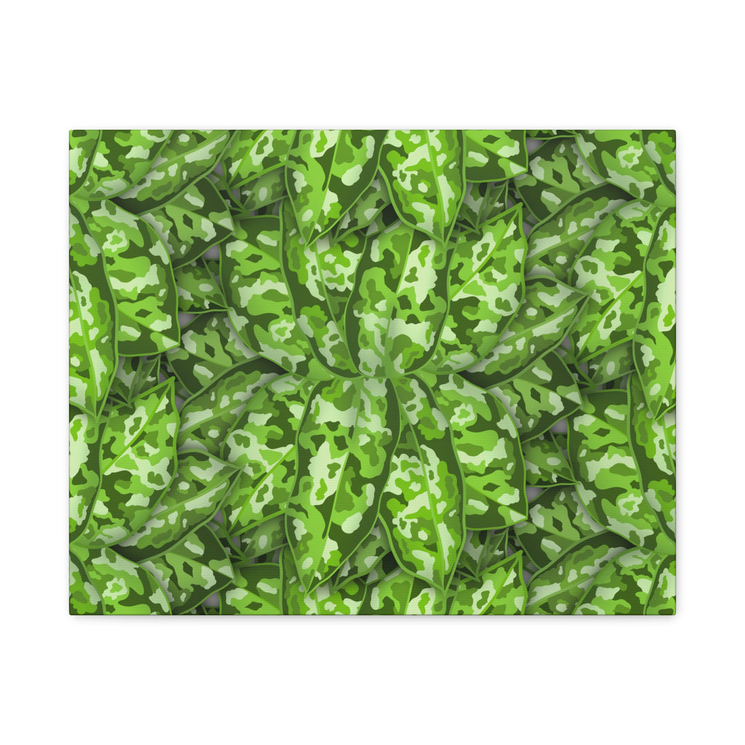 Aglaonema Pictum Canvas Wall Art Rare Plant Print Matte Finish For Modern Home Decor