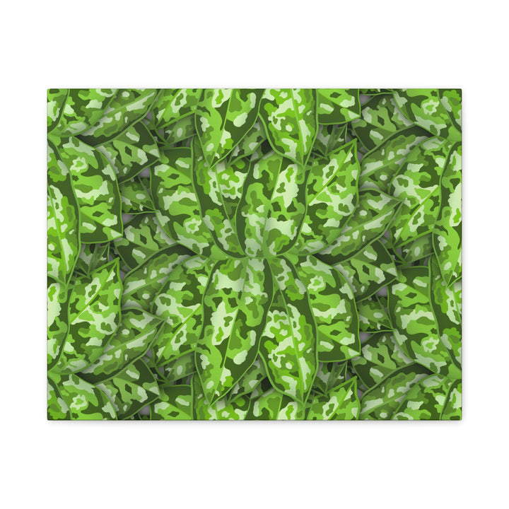 Aglaonema Pictum Canvas Wall Art Rare Plant Print Matte Finish For Modern Home Decor