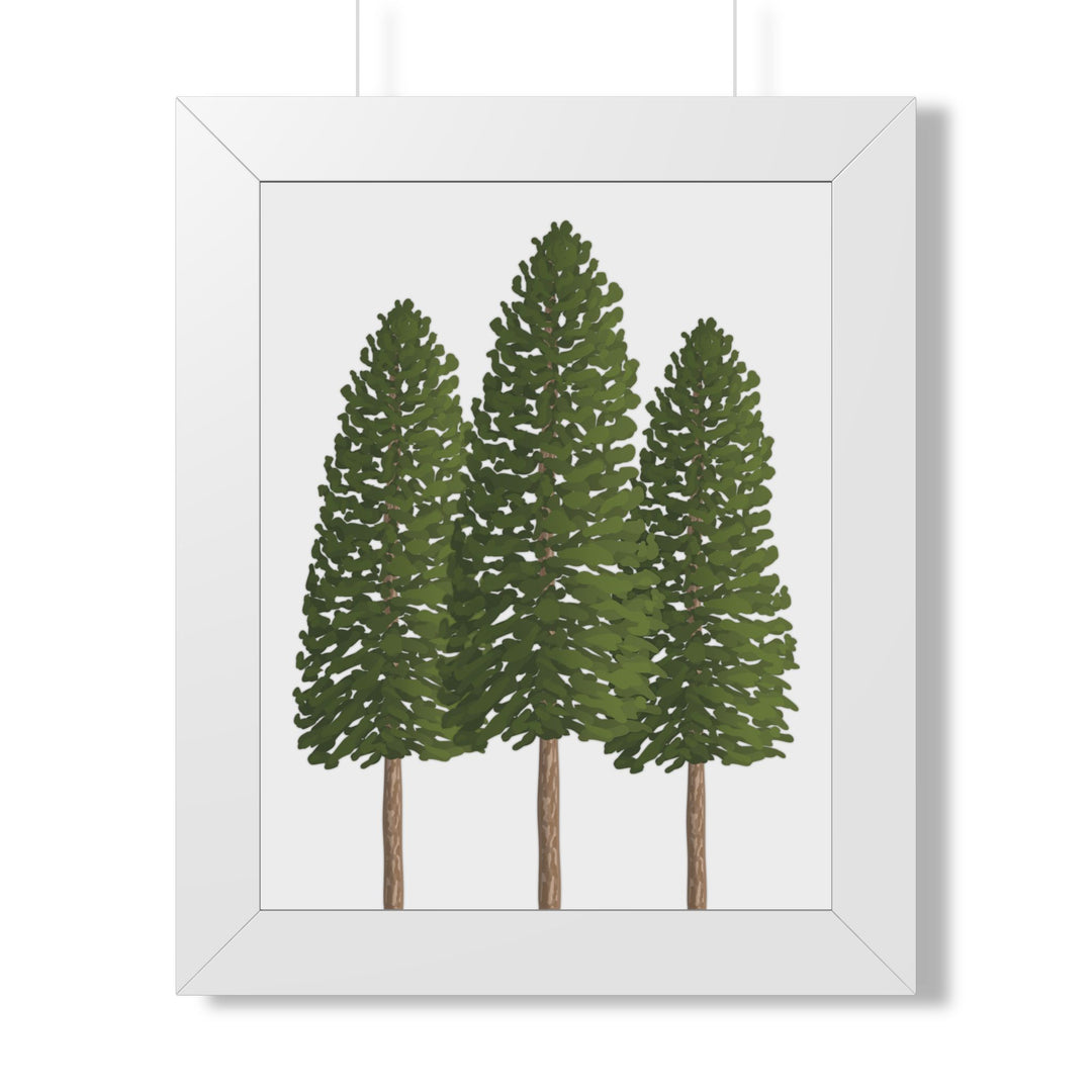 Ponderosa Pine Framed Print – Wall Art