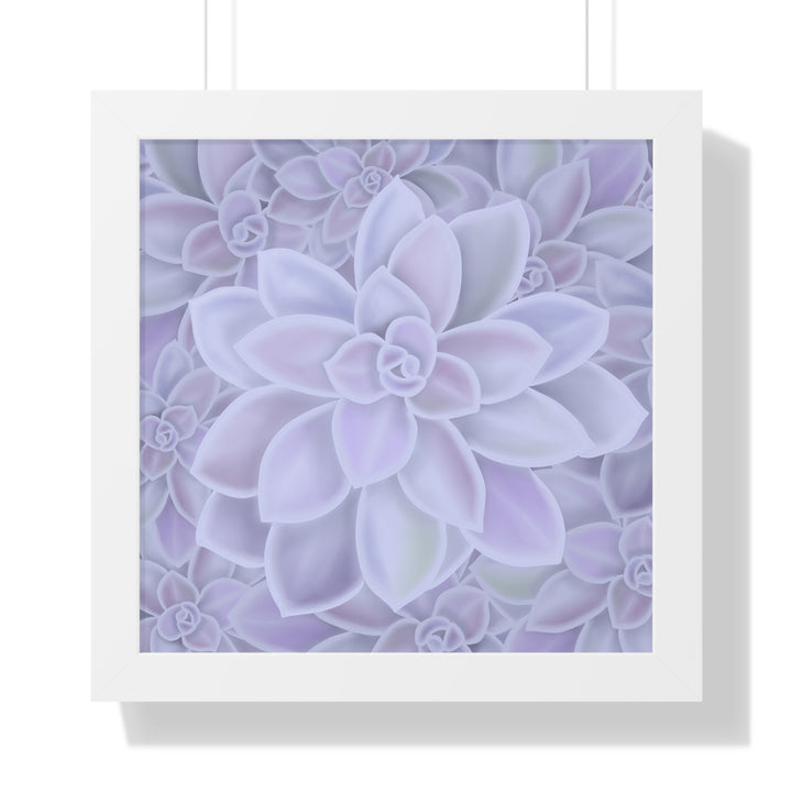Graptopetalum Murasaki Succulent Framed Print – Botanical Wall Art - The Potted Pixel