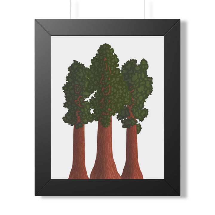 Giant Sequoias Framed Print – Wall Art